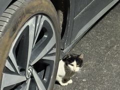 -潮界(LU·ONE凯德晶萃广场店)