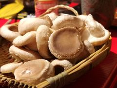 手剪香菇-谭鸭血老火锅(漳州路店)