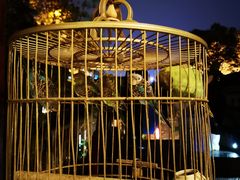 -鱼桥巷·美学川菜