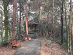 爽心谷-保利石象湖景区