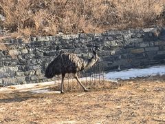 -清风小镇闯关东影视基地