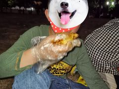 -尊宝比萨(福强店)