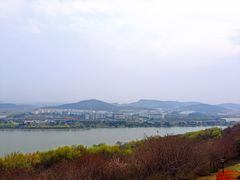 -羊山湖公园