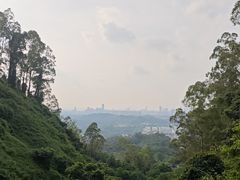 -水濂山森林公园