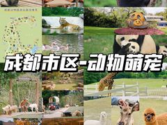 -成都动物园