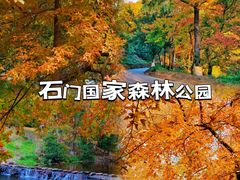 -广州市帽峰山景区