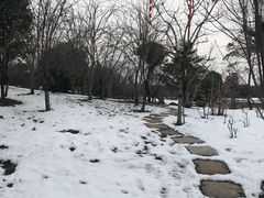 -南通洲际绿博园