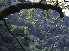 -梧桐山风景名胜区
