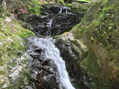-本溪汤沟绿石谷森林公园