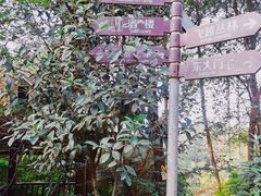 -客乐得玉峰山房车营地