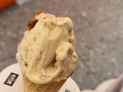 -野人先生现做冰淇淋(北京王府井东方新天地店)