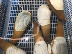-恒生万鹂广场(唐镇店)