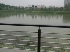 -昆山城市生态森林公园