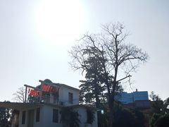 -广西壮族自治区药用植物园