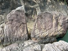 -广州白江湖森林公园