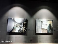 -桉树林A coffee 森林餐厅(三圣乡店)