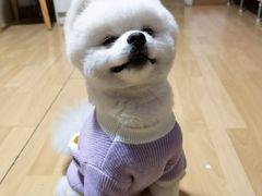 -熊小胖宠物生活馆(天华园店)