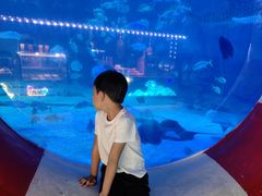 -烟台海昌鲸鲨海洋公园