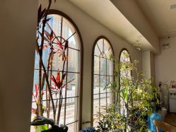 -WAVE SODA摄影工作室