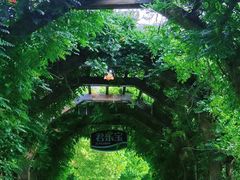 -君乐宝优致牧场