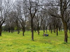 -洨河生态公园