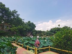 -广州莲花山旅游区