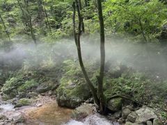 -牛背梁国家森林公园