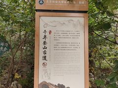 -北京鹫峰国家森林公园
