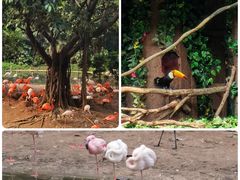 -广州长隆野生动物世界
