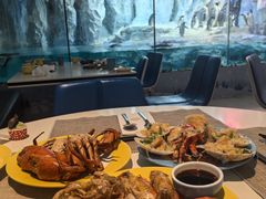 -帝企鹅自助餐厅•儿童岛•真企鹅(长隆企鹅酒店)