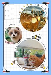 点击看大图 -萌宠亲子动物乐园(槐房万达店)