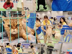 -南宁国际会展中心