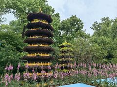-南山植物园