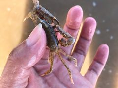 -长兴岛海滨公园