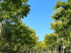 -牛岗山公园