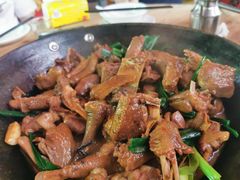 -大地农庄(逢沙大道店)