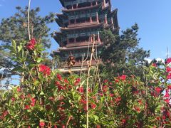 -永定河休闲森林公园