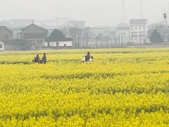 -常德桃花源景区