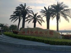 -宝安西湾红树林湿地公园