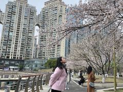 -西北湖绿化广场