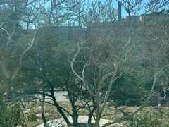 -中国人民解放军总医院第八医学中心