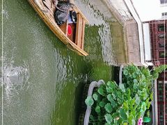 -豫园湖心亭茶楼