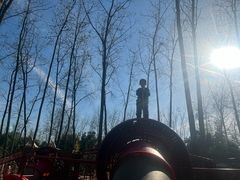 -合肥滨湖国家森林公园