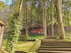 -青城山