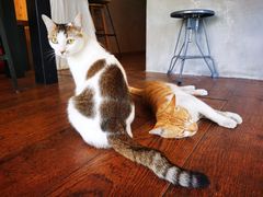 -251#coffee roasters(沿河东路店)