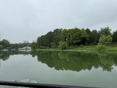 -月湖风景区