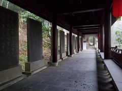 -仙霞关景区