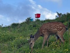 -萍乡武功山风景名胜区