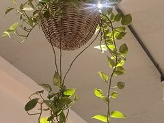 -懒人盐府人家·自贡大麻鱼(安贞店)