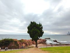-小麦岛公园